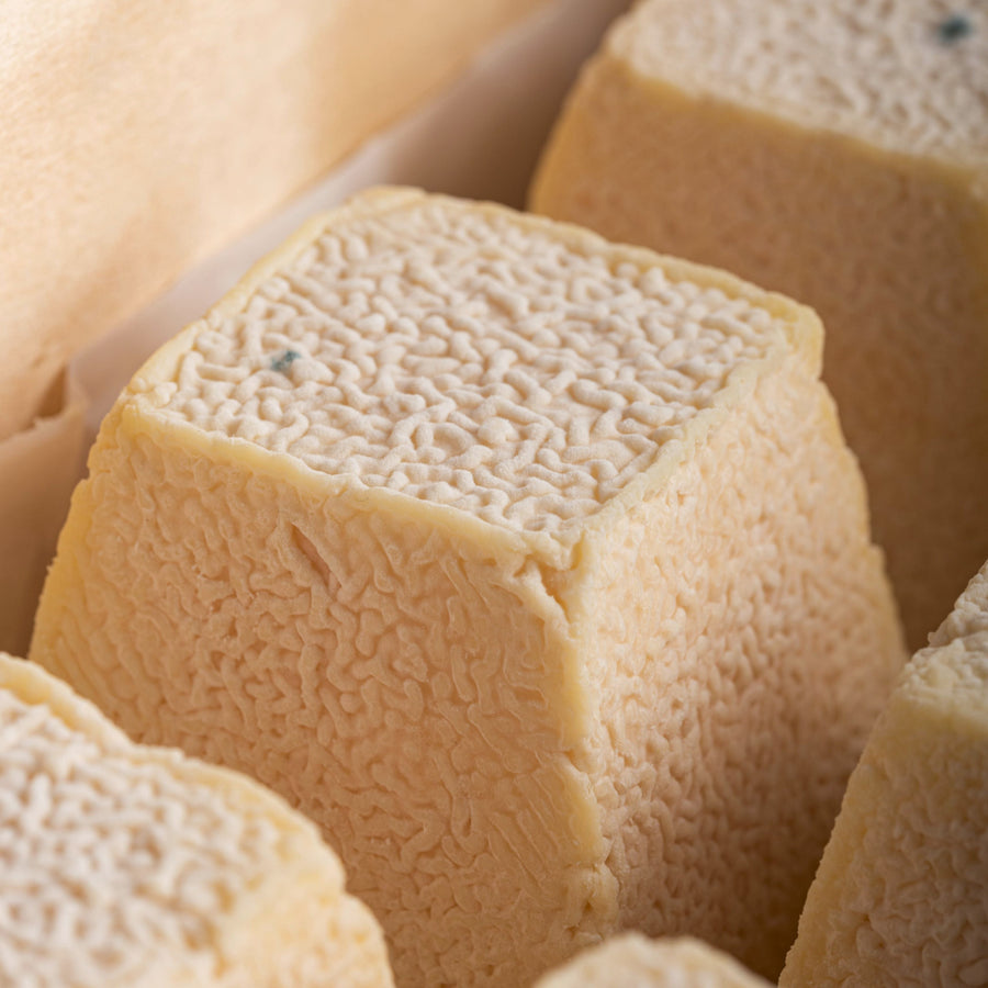 A close up of the wrinkly, slightly pink-coloured rind of a Sinodun Hill goat's cheese.